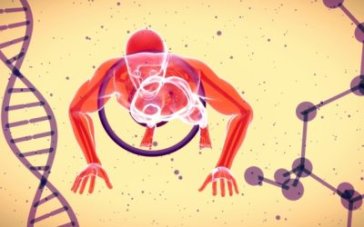 Chronobiologie