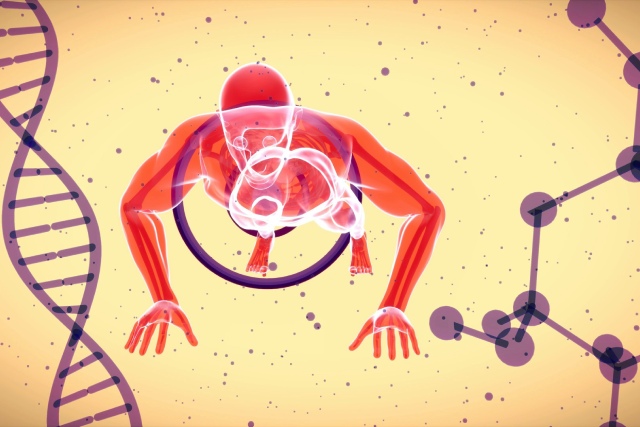 Chronobiologie : les clés pour aligner votre horloge biologique et optimiser votre rythme de vie